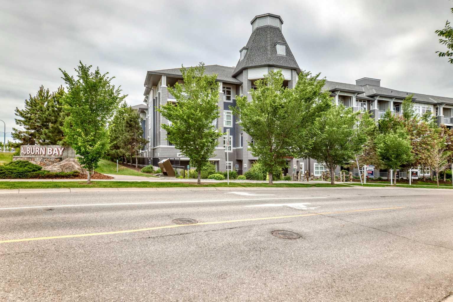 231, 25 Auburn Meadows Avenue SE, T3M 2L3